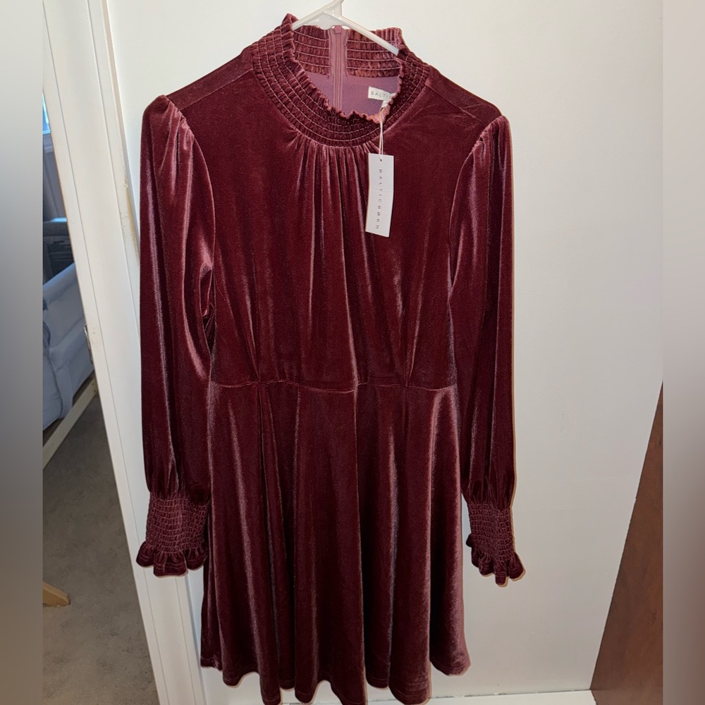 Baltic Born Velvet Dress in Rich Mauve